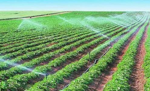 操逼黄片视频免费的农田高 效节水灌溉